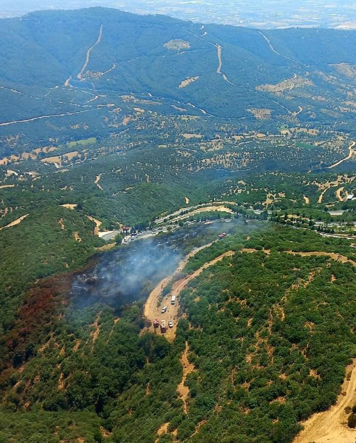 İzmir\'de orman yangını (2)