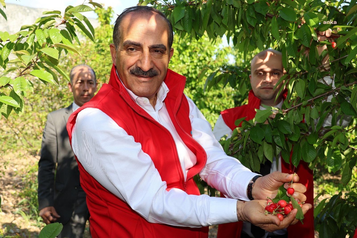Türkiye Kiraz İhracatında Rekor Kırıyor