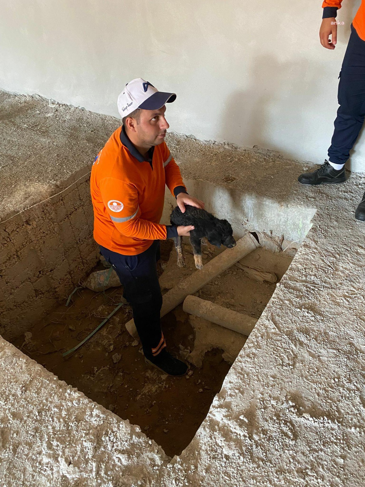 Mersin\'de İlaçlama Ekipleri Gözleri Görmeyen Yavru Köpeği Kurtardı