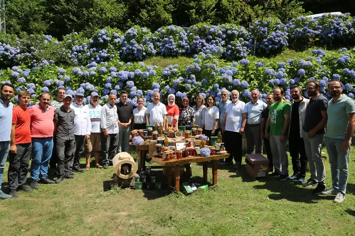 Artvin\'de Altın Bal Ödülü Alan Macahel Balı Tanıtıldı