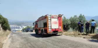 Orhangazi'de 2 Zeytinlikte Yangın Çıktı