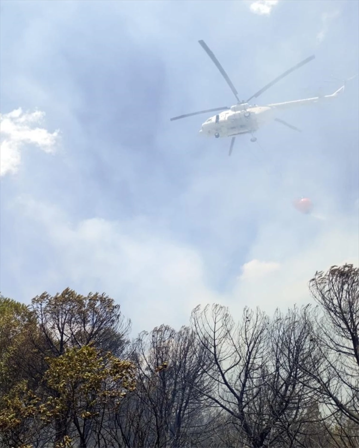 Mustafakemalpaşa\'da Orman Yangını Kontrol Altına Alındı