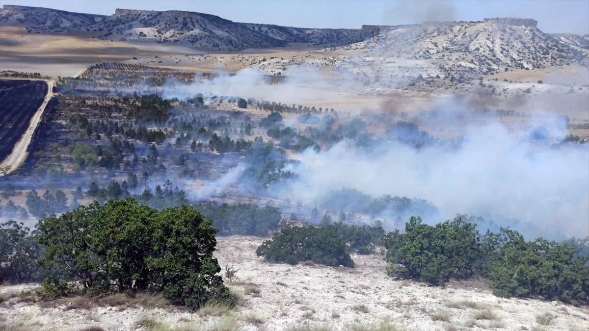 Eskişehir\'de Orman Yangınları Kontrol Altına Alındı