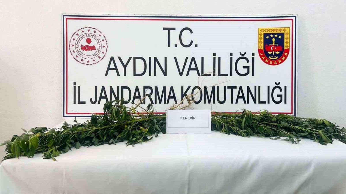Aydın\'da Uyuşturucu Operasyonu: 3 Şüpheli Yakalandı