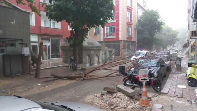 Sağanak yağış yolları göle çevirdi, ağaçları devirdi Sağanak yağış yolları göle çevirdi, ağaçları devirdi
