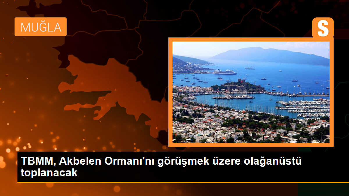 TBMM, Akbelen Ormanı\'nı görüşmek üzere olağanüstü toplanacak