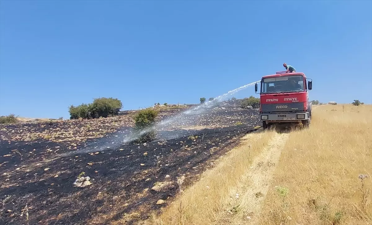 Tunceli\'de çıkan örtü yangınları söndürüldü