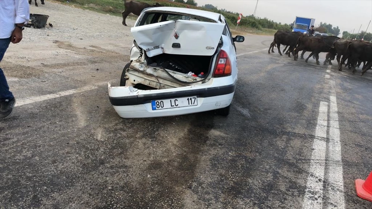 Adana\'da Otomobil Tıra Çarptı: 1 Ölü, 1 Yaralı
