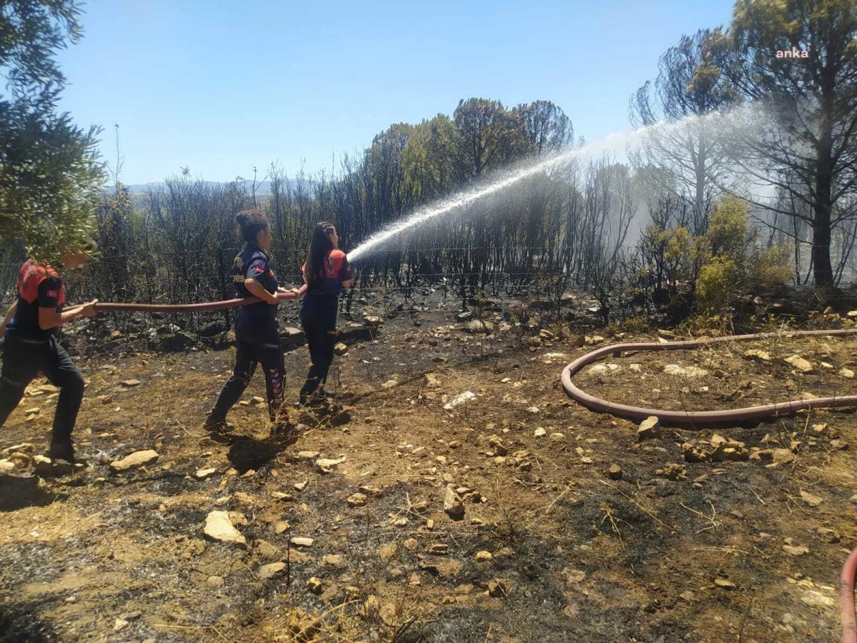 Aydın Büyükşehir Belediyesi İtfaiyesi, Yenipazar\'da çıkan yangına müdahale etti