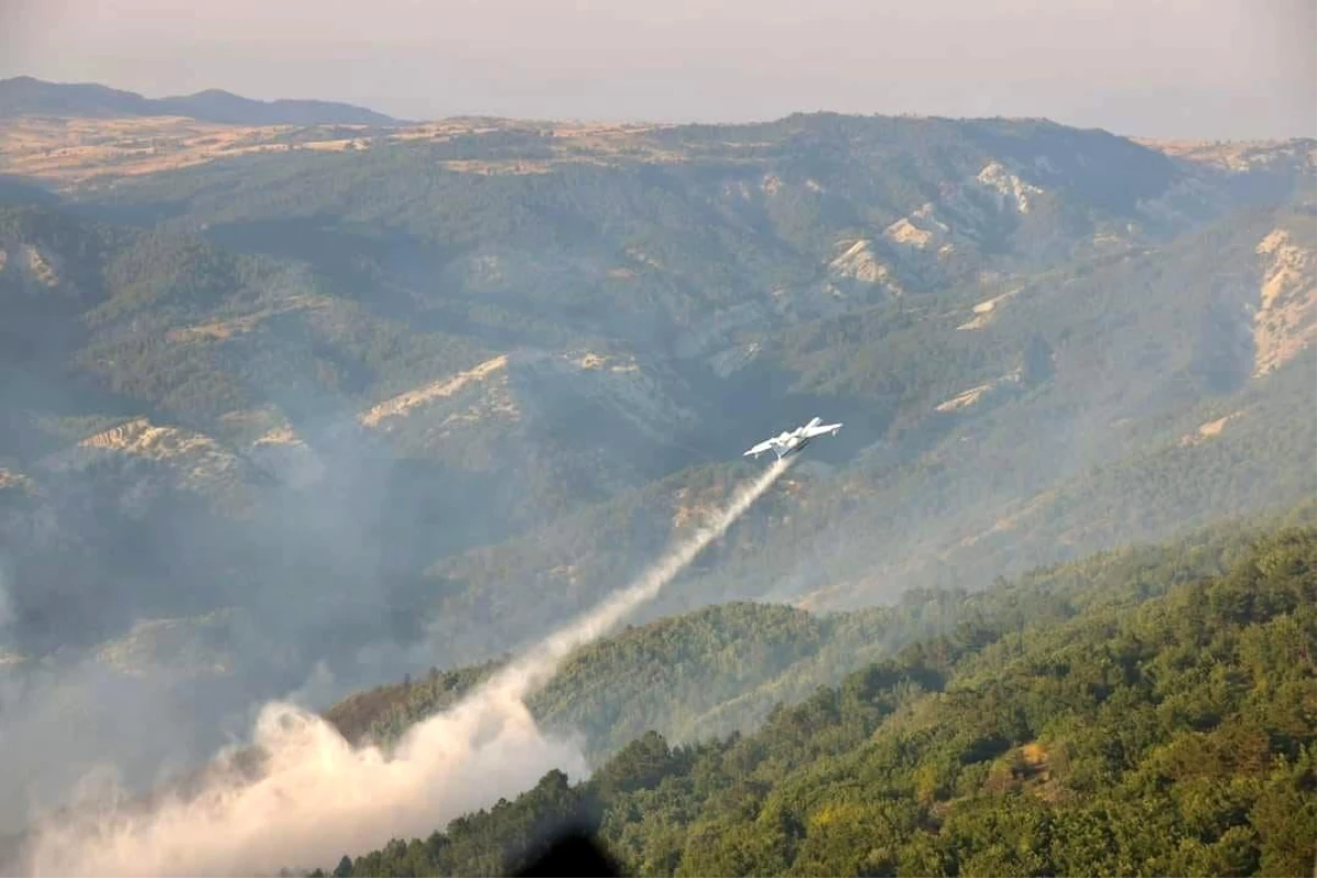 Bilecik\'te Başlayan Orman Yangını Kontrol Altına Alındı
