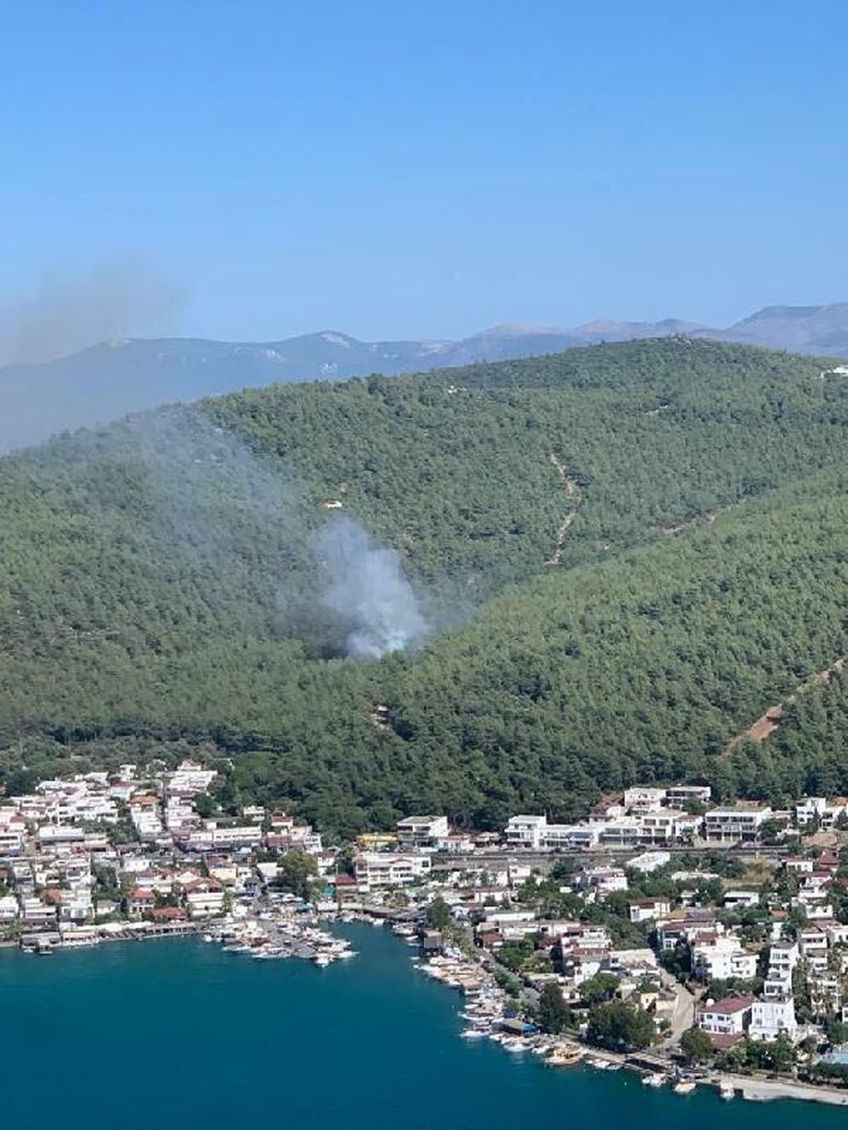 Bodrum\'da orman yangını