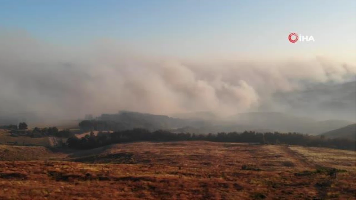 Çanakkale Valiliği orman yangınlarına karşı uyardı