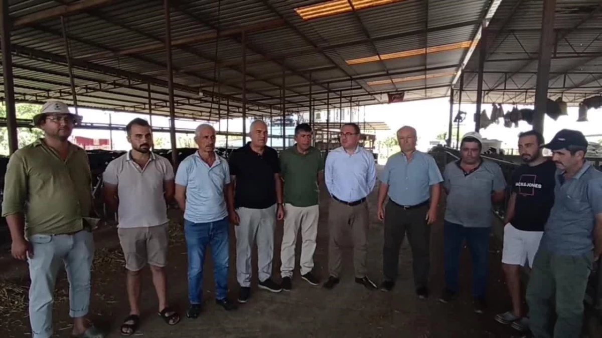 Çiftçilerin Sorunlarına Dikkat Çeken CHP Milletvekili Evrim Karakoz, Tarım Bakanlığı\'ndan Destek İstedi