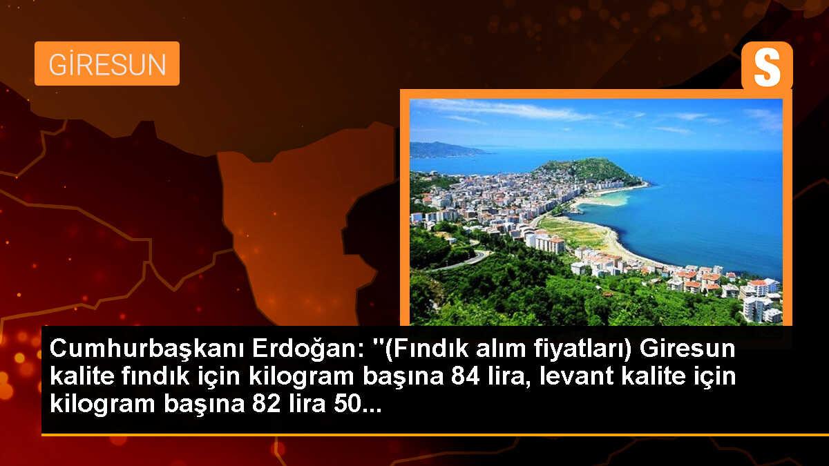 Cumhurbaşkanı Erdoğan: "(Fındık alım fiyatları) Giresun kalite fındık için kilogram başına 84 lira, levant kalite için kilogram başına 82 lira 50...