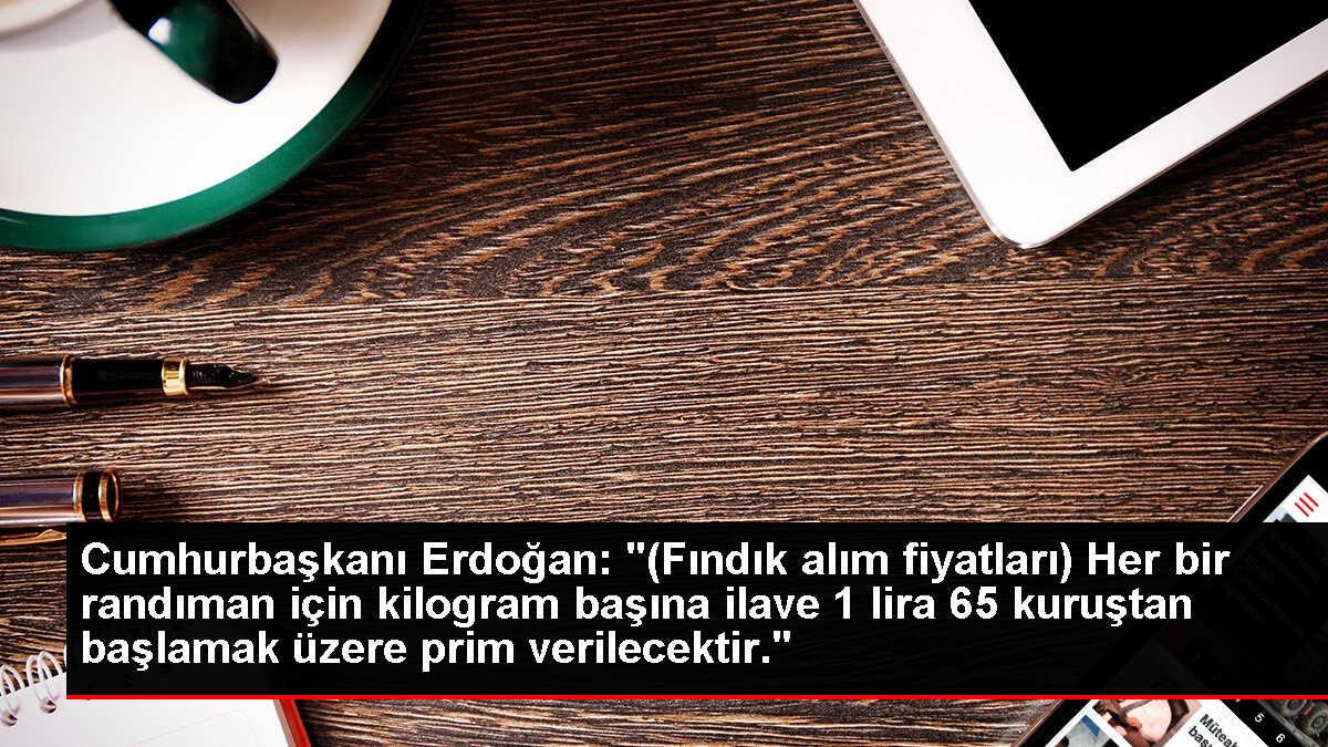 Cumhurbaşkanı Erdoğan: '(Fındık alım fiyatları) Her bir randıman için kilogram başına ilave 1 lira 65 kuruştan başlamak üzere prim verilecektir.'