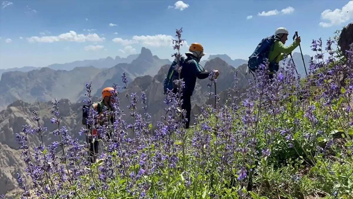 Hakkari\'de Dağcılar Sümbül ve Spi Dağlarında Zirve Yaptı