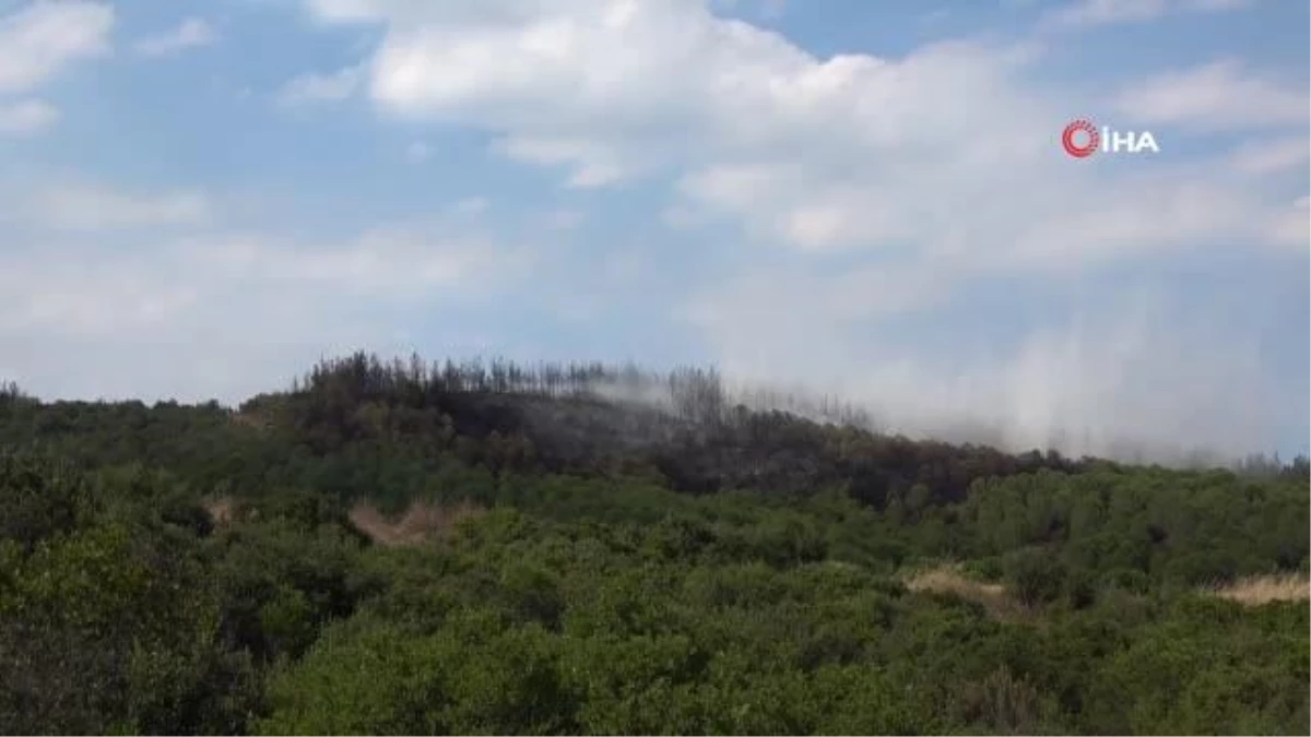 Lapseki\'deki orman yangını kontrol altına alındı, 7 hektar alan zarar gördü