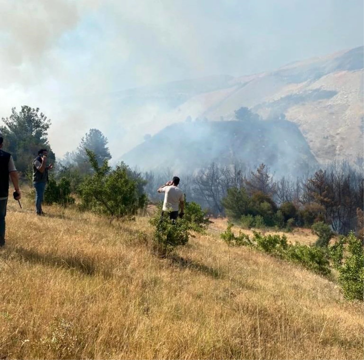 Soma\'daki Orman Yangını Kontrol Altına Alındı