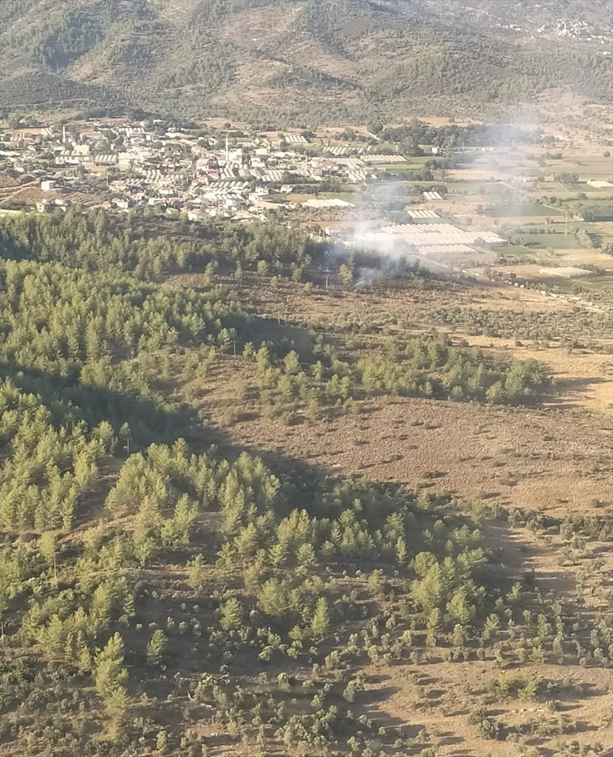 Muğla\'da çıkan orman yangını kontrol altına alındı