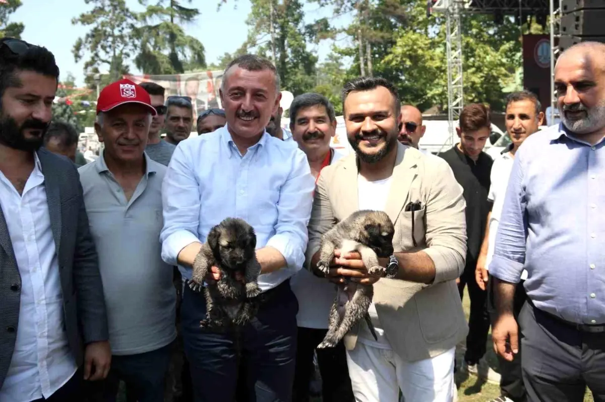 Kartepe Seka Kamp Alanında Sivas 2. Gardaşlık Buluşması Yoğun İlgi Gördü