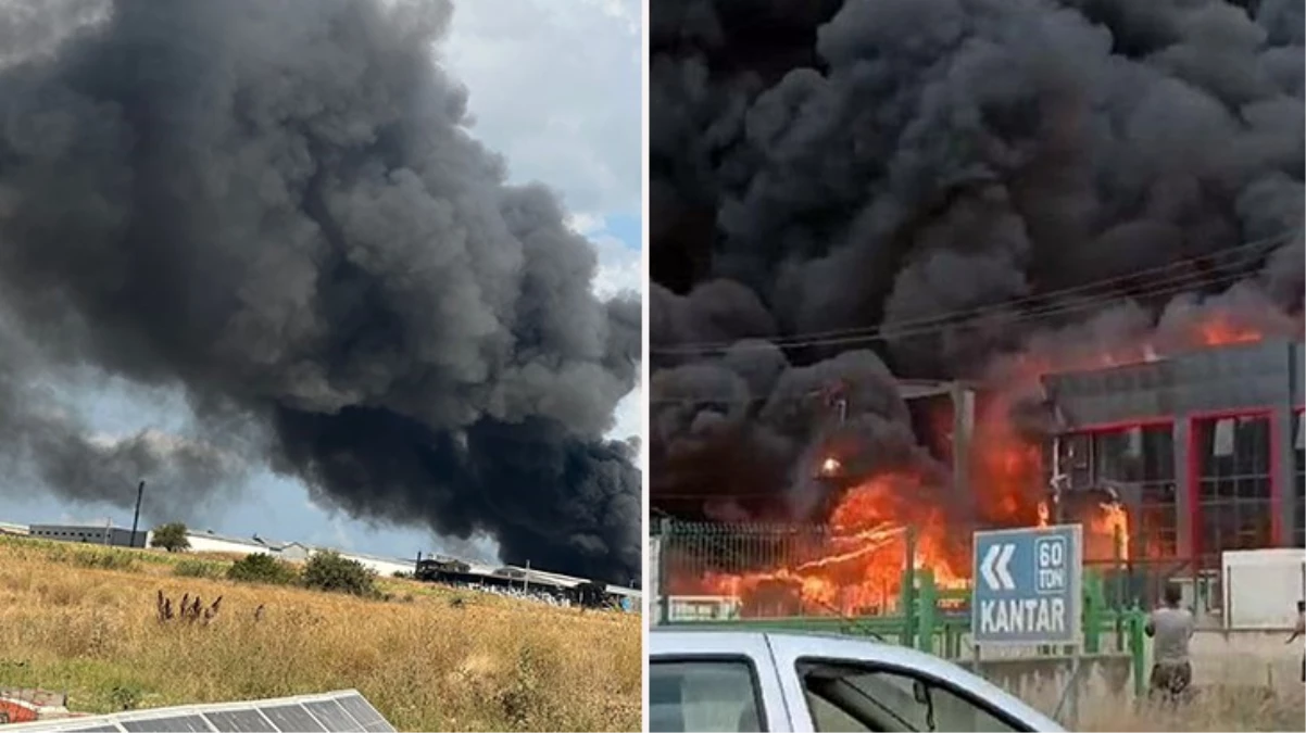 Tekirdağ\'da kimya fabrikasında yangın! Patlamalar söndürme çalışmalarını zorlaştırıyor