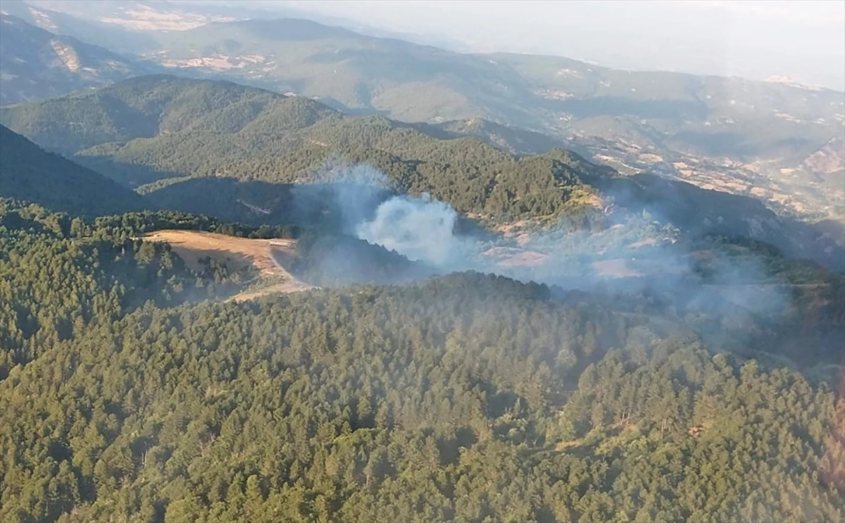 Balıkesir İvrindi\'de çıkan orman yangını kontrol altına alındı