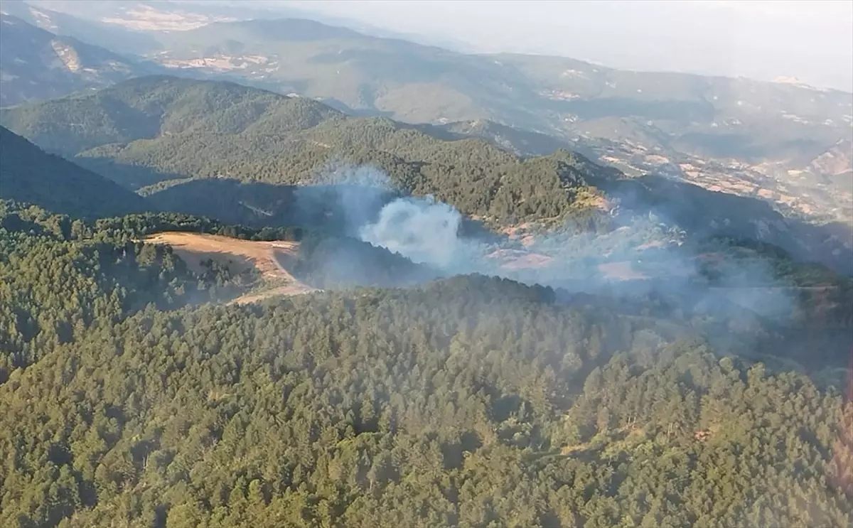 Balıkesir İvrindi\'de Orman Yangınına Havadan ve Karadan Müdahale Ediliyor