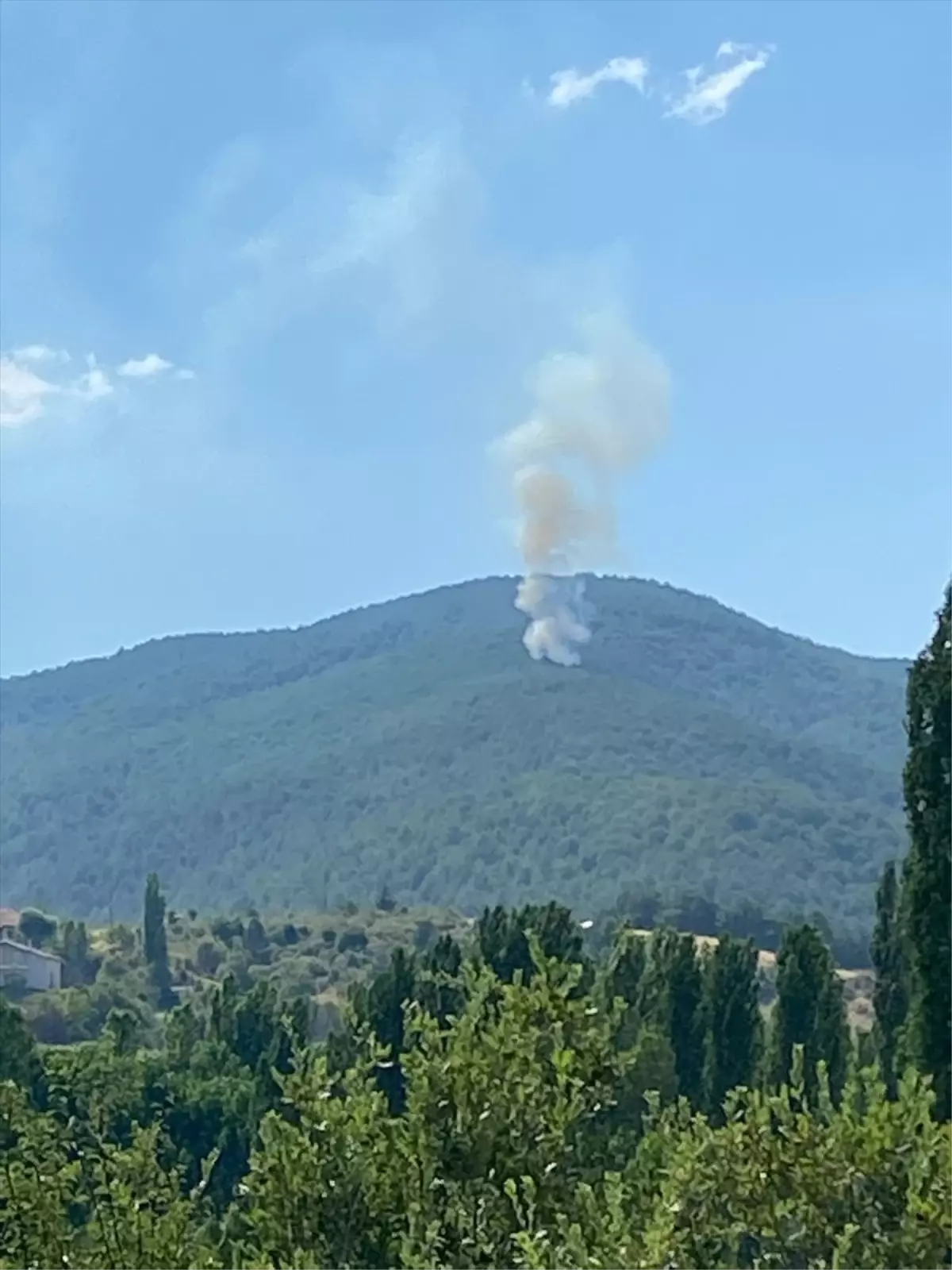 Uşak\'ın Banaz ilçesinde ormanlık alanda yangın çıktı