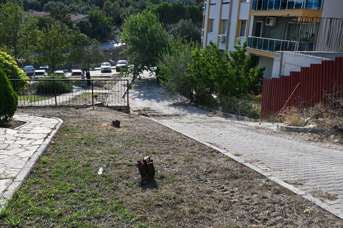 Bornova\'da ağaç kesimi tepkilere neden oldu