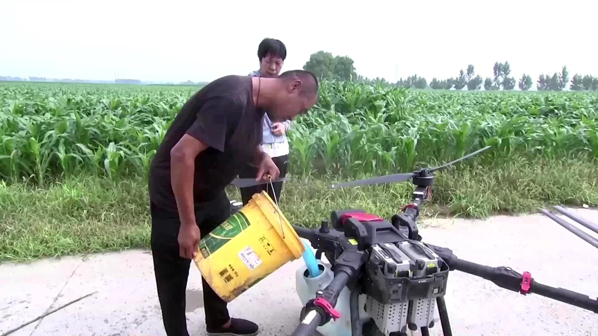 Çin sellerin ardından çiftçilere destek için tarım teknisyenleri görevlendirdi