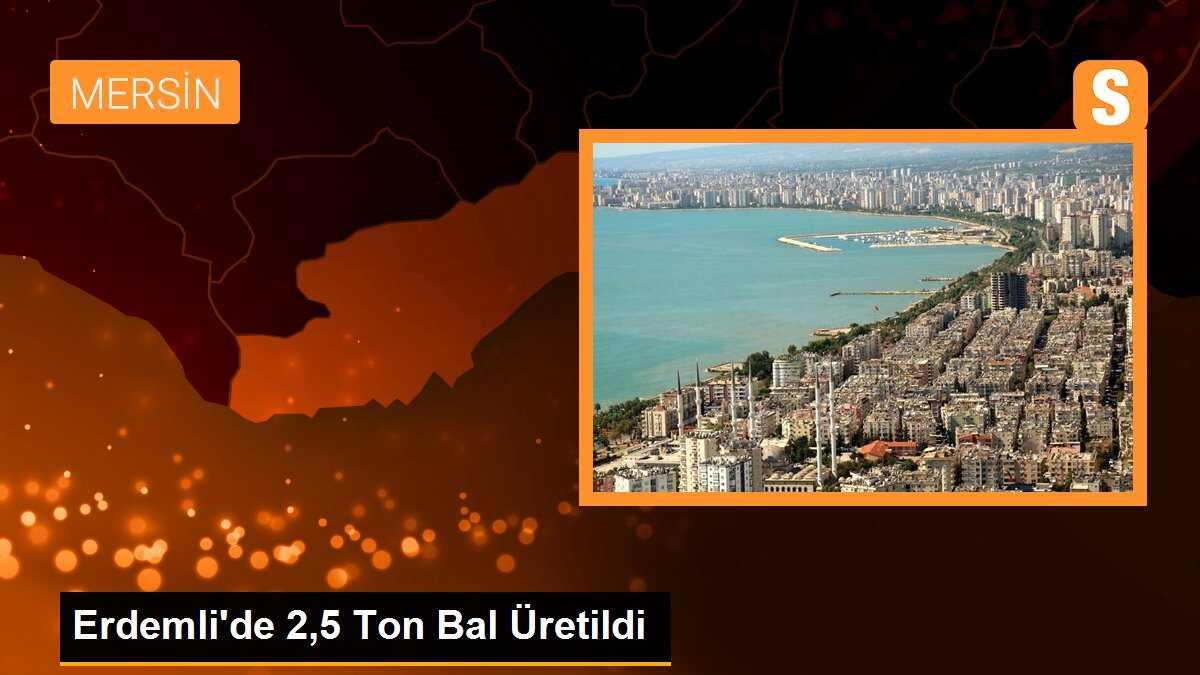 Erdemli\'de 2,5 Ton Bal Üretildi