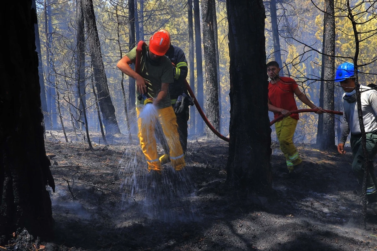 Muğla\'da çıkan orman yangınında 2 hektar ormanlık alan zarar gördü