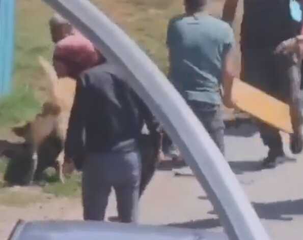 İstanbul'un göbeğinde kan donduran görüntü! Tasmasız gezdirilen köpek dehşet saçtı İstanbul'un göbeğinde kan donduran görüntü! Tasmasız gezdirilen köpek dehşet saçtı