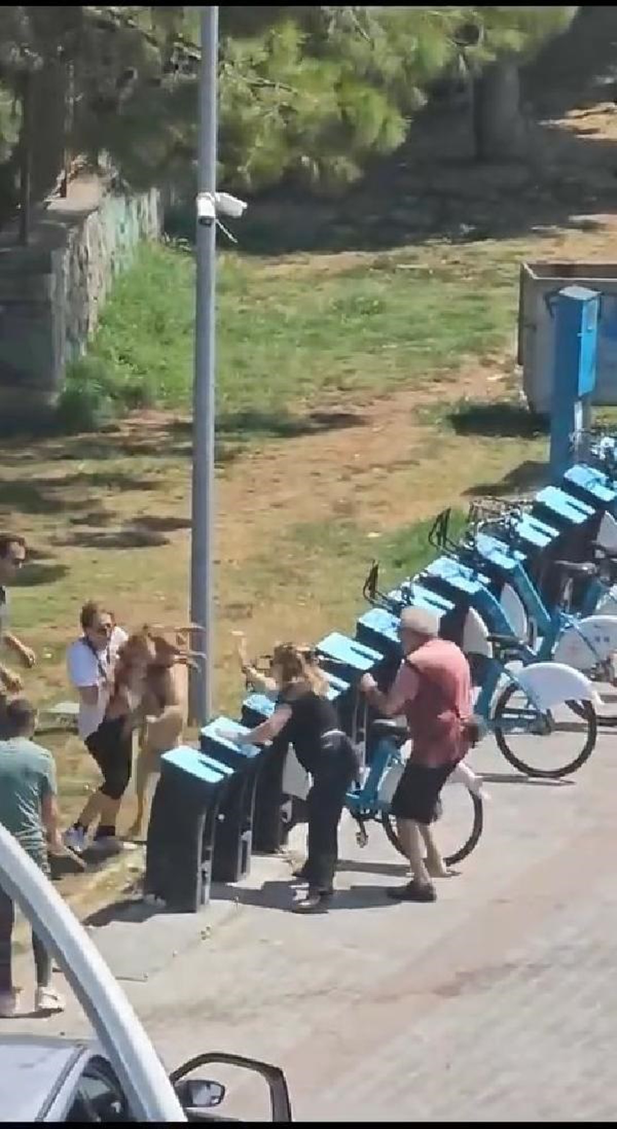 Tasmasız Köpek Sahilde Saldırıya Uğradı