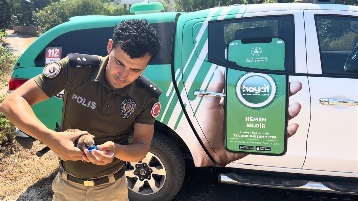 Mersin\'de Polis Ekipleri Bitkin Haldeki Kerkeneze Yardım Etti