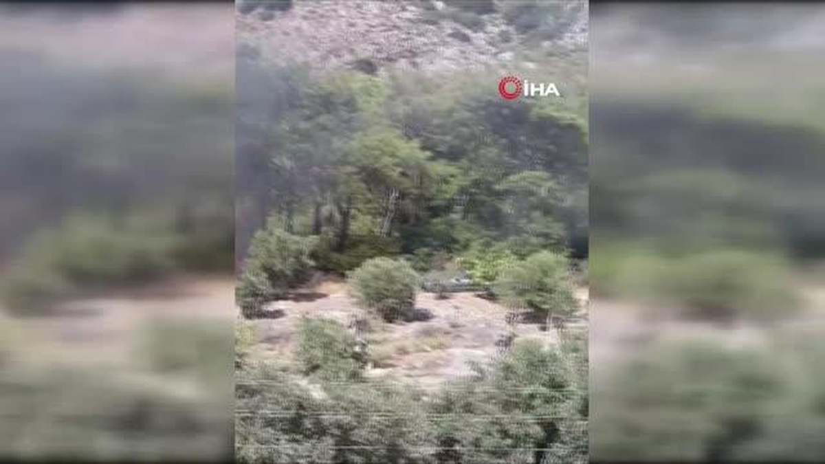 Milas yangınının ilk çıktığı anlar kamerada