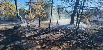 Mudurnu'da çıkan örtü yangınında 2 dönüm ormanlık alan yandı