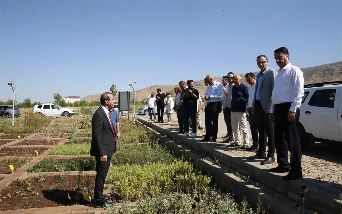 Muş Alparslan Üniversitesi\'nde Tıbbi ve Aromatik Bitkiler Tanıtıldı