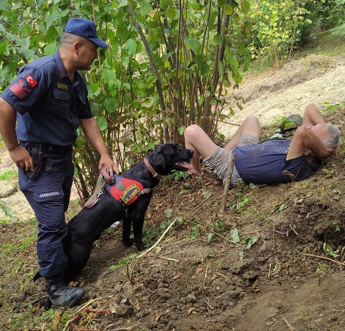 Ordu\'da Alzheimer hastası iz takip köpeği sayesinde bulundu