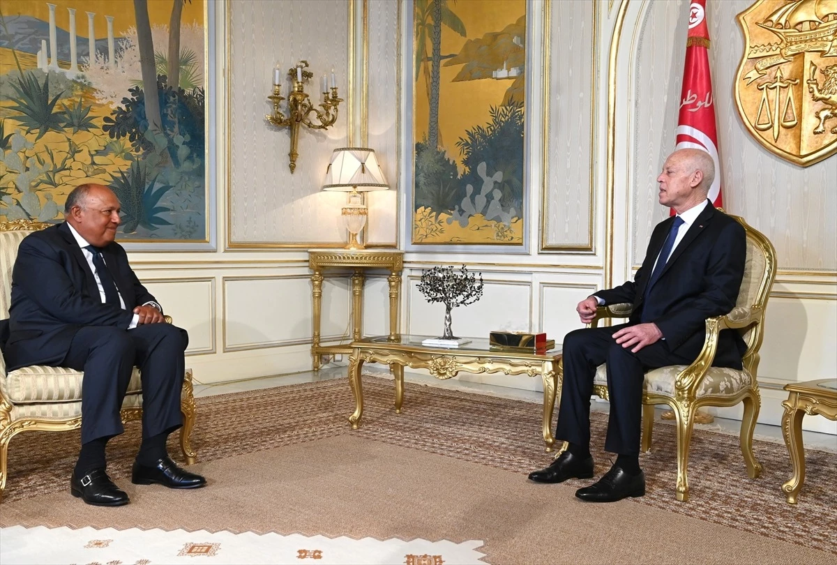 Tunus Cumhurbaşkanı Kays Said, Mısır Dışişleri Bakanı Samih Şukri ile İlişkileri Ele Aldı