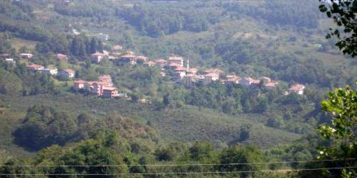Zonguldak\'ın Alaplı İlçesinde Bir Eve Giren Hırsız 12 Bin TL Para Çalarak Kayıplara Karıştı