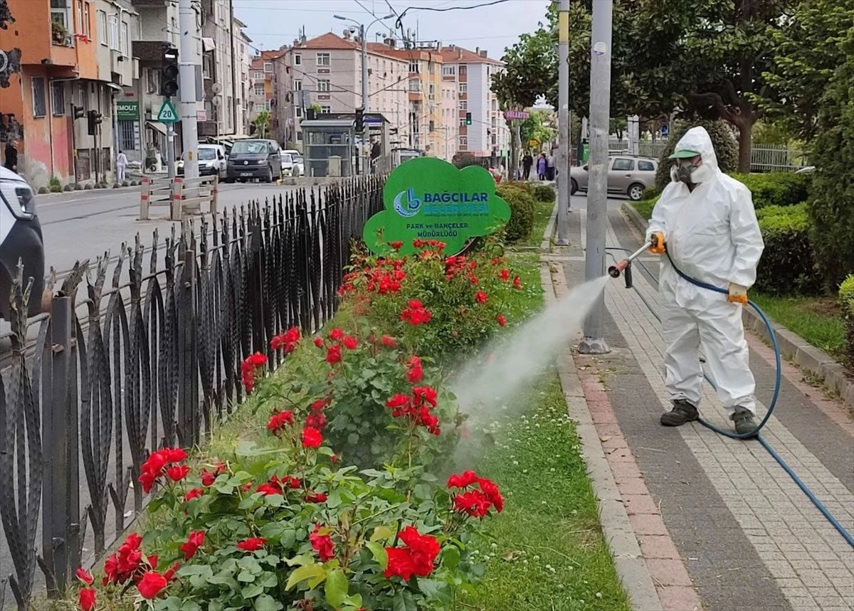 Bağcılar Belediyesi, ilçedeki parklarda bitlere karşı ilaçlama çalışması yaptı