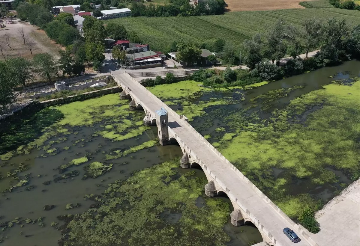 Edirne\'de Tunca Nehri\'nde Çöp Birikimi