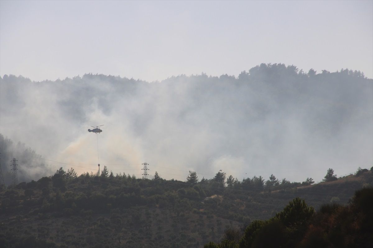Hatay\'ın Defne ilçesinde orman yangını çıktı