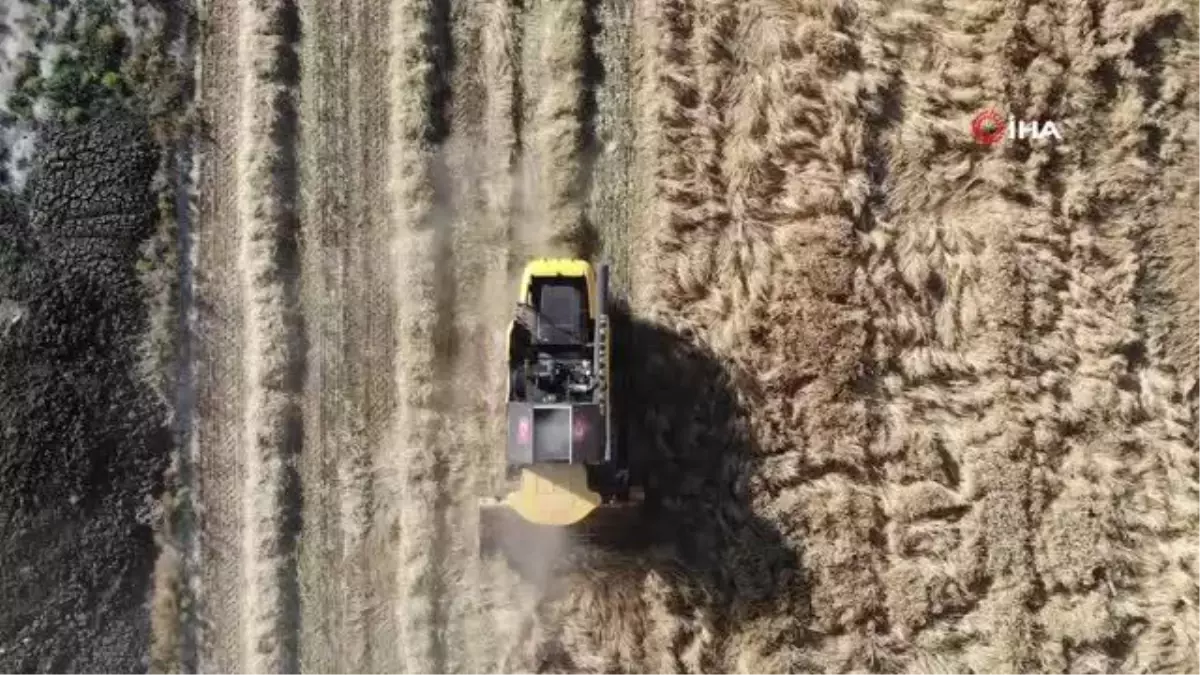 Konya Ovası\'ndaki Buğday Hasadında 2 Milyon 400 Bin Rekolte