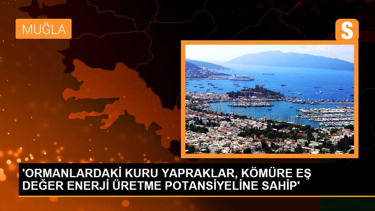 \'ORMANLARDAKİ KURU YAPRAKLAR, KÖMÜRE EŞ DEĞER ENERJİ ÜRETME POTANSİYELİNE SAHİP\'