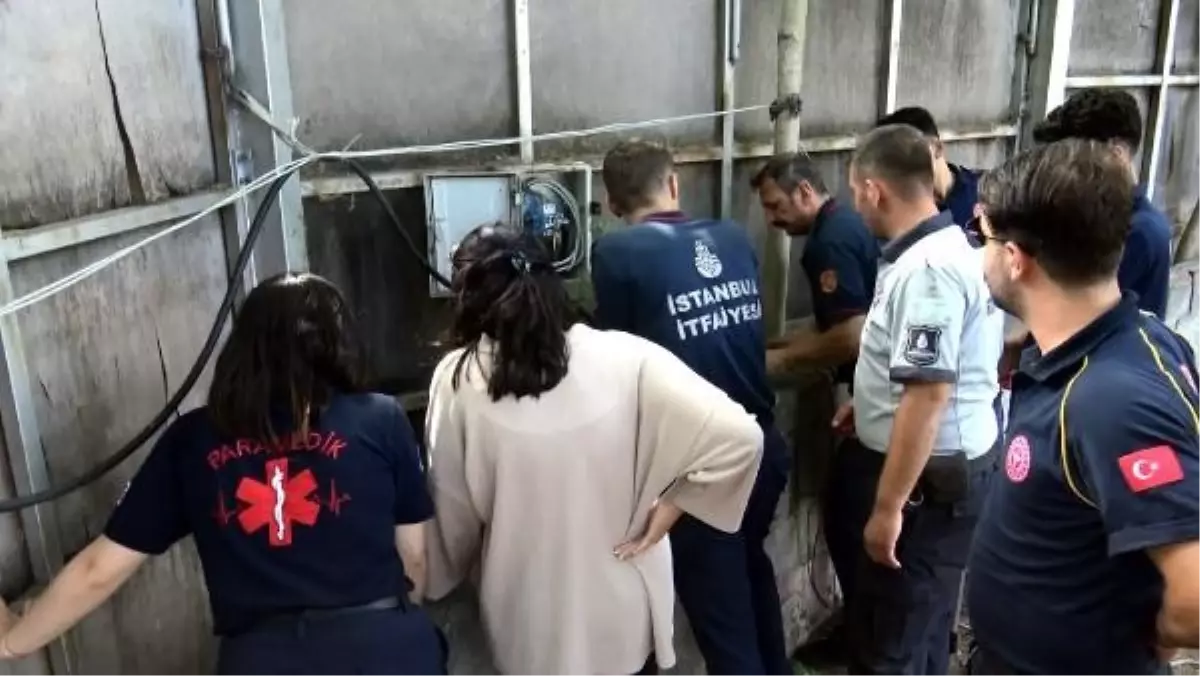 Avcılar'da Boruya Sıkışan 3 Yavru Kedi İtfaiye Tarafından Kurtarıldı