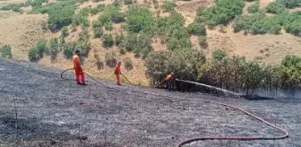 Bingöl'de Ormanda Çıkan Yangın Kontrol Altına Alındı