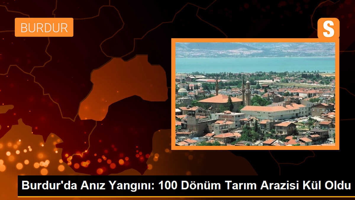 Burdur\'da çıkan yangında 100 dönüm tarım arazisi kül oldu