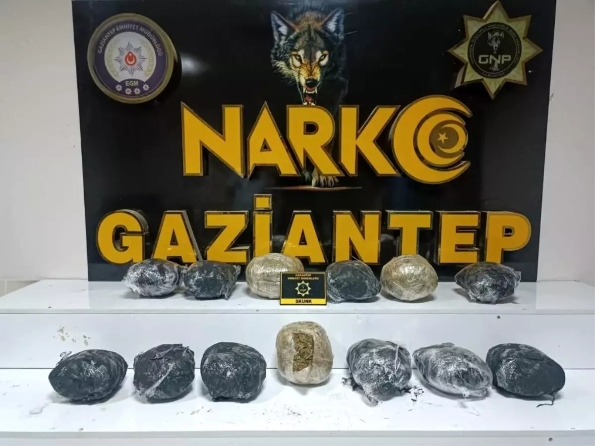 Gaziantep\'te 8 Kilo Skunk Ele Geçirildi, 1 Kişi Gözaltına Alındı